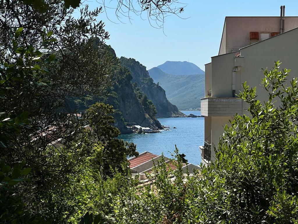 Vista Petrovac Leilighet Eksteriør bilde