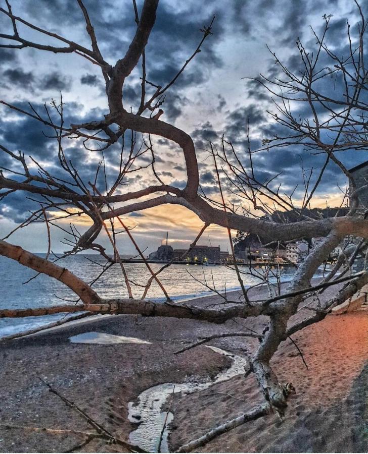 Vista Petrovac Leilighet Eksteriør bilde